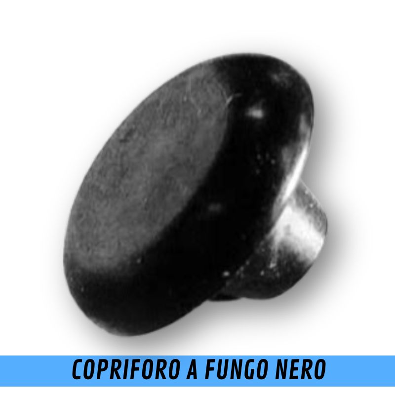 CAN ricambi piani cottura copriforo a fungo nero