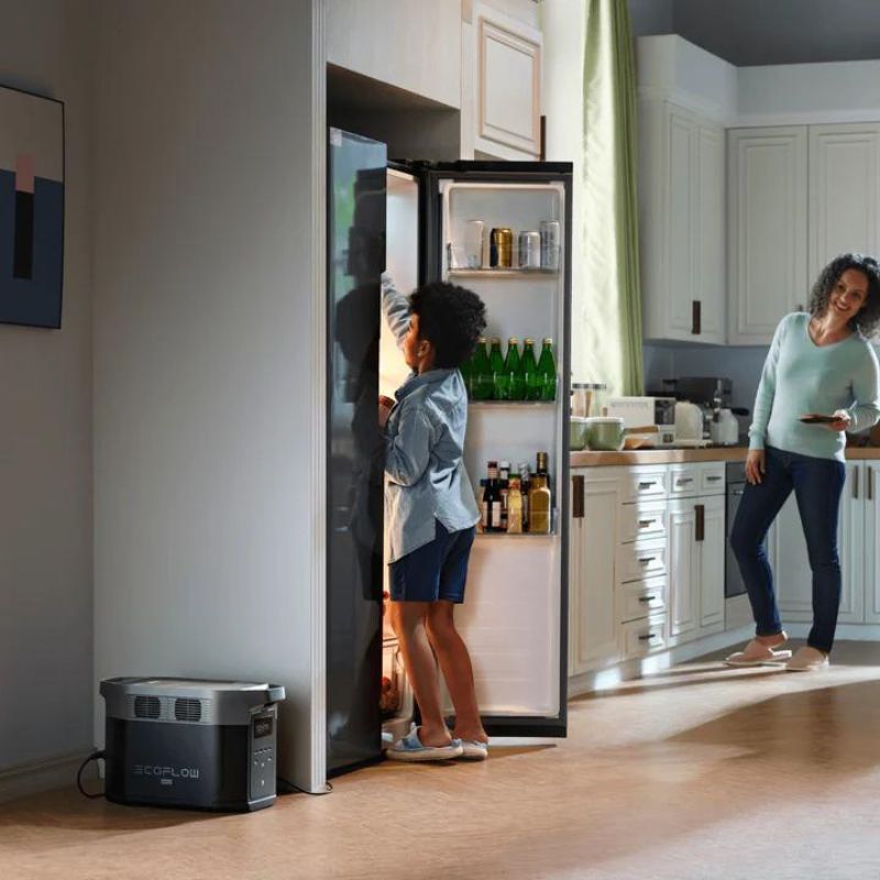 ECOFLOW - DELTA 2 MAX