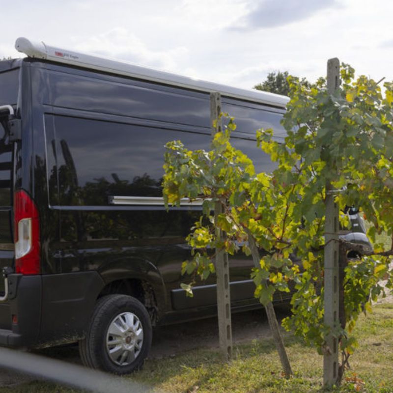 Fiamma F65EAGLE tendalino motorizzato per camper in uso1
