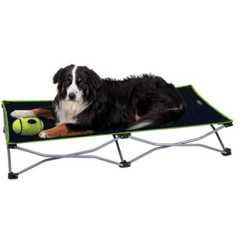 CAMP4 - LETTINO MOMO