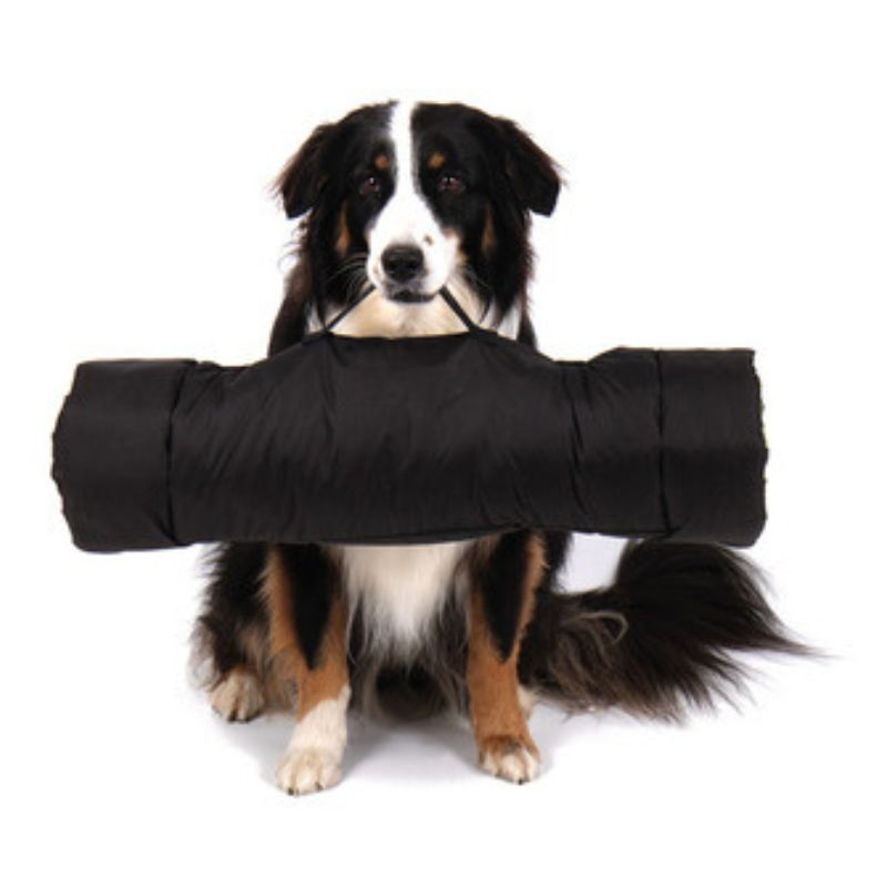 CAMP4 - TAPPETINO & CIOTOLE