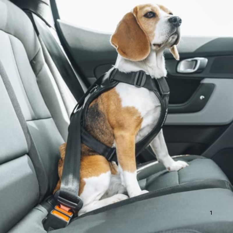 thule cappy agganciato