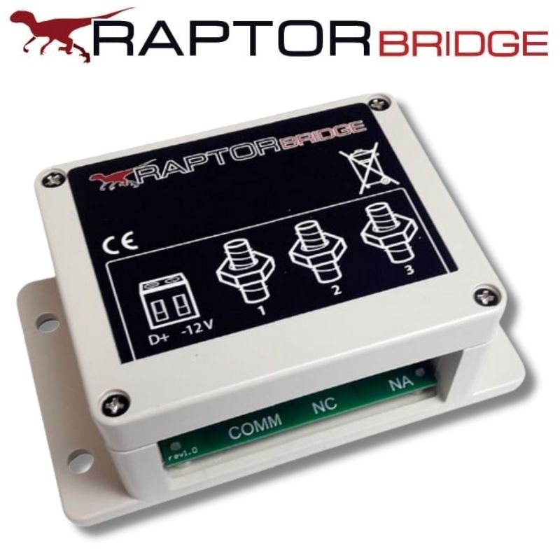 RAPTOR BRIDGE