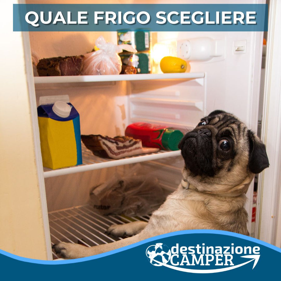 FRIGORIFERO