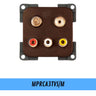 MPRCA3TVS / MARRONE