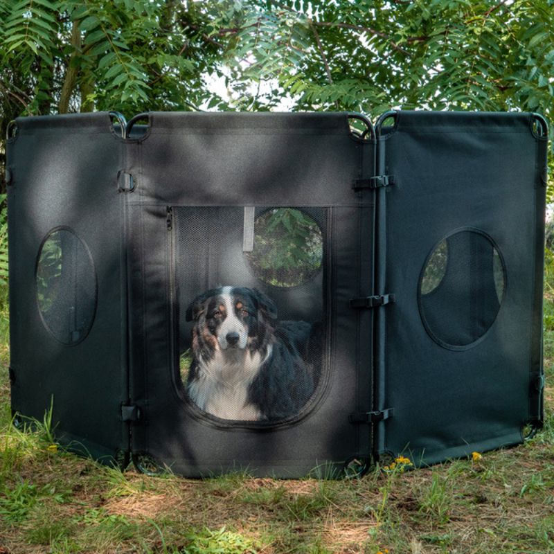 Camp4 recinto pieghevole e portatile per cani in uso 2