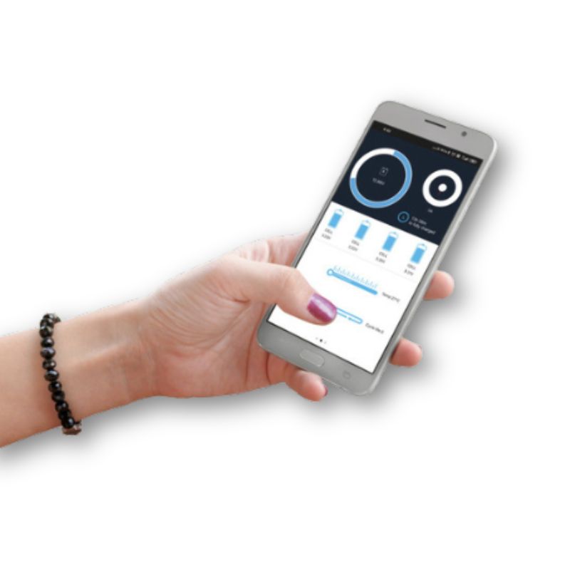 Carbest LI200BHD batteria al litio con APP Bluetooth