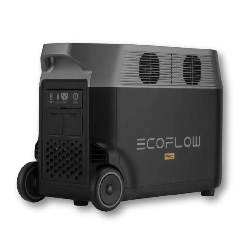 EcoFlow Delta Pro retro lato sinistro 