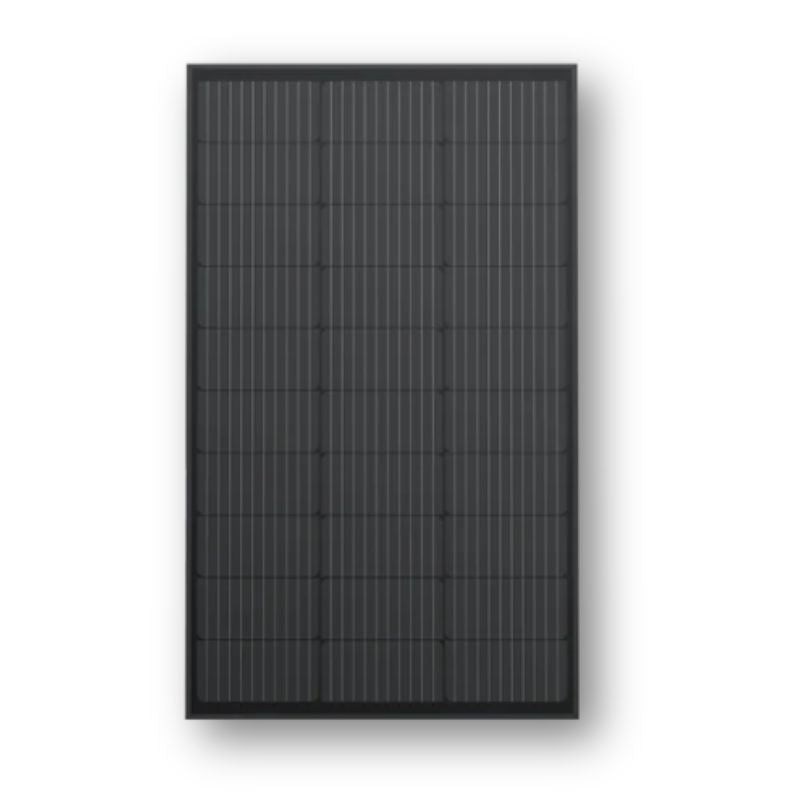 Ecoflow pannello solare monocristallino 100W fronte