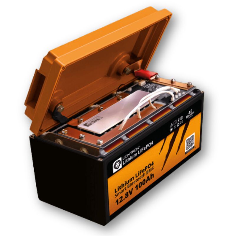Liontron LX Smart BMS aperta interno visibile