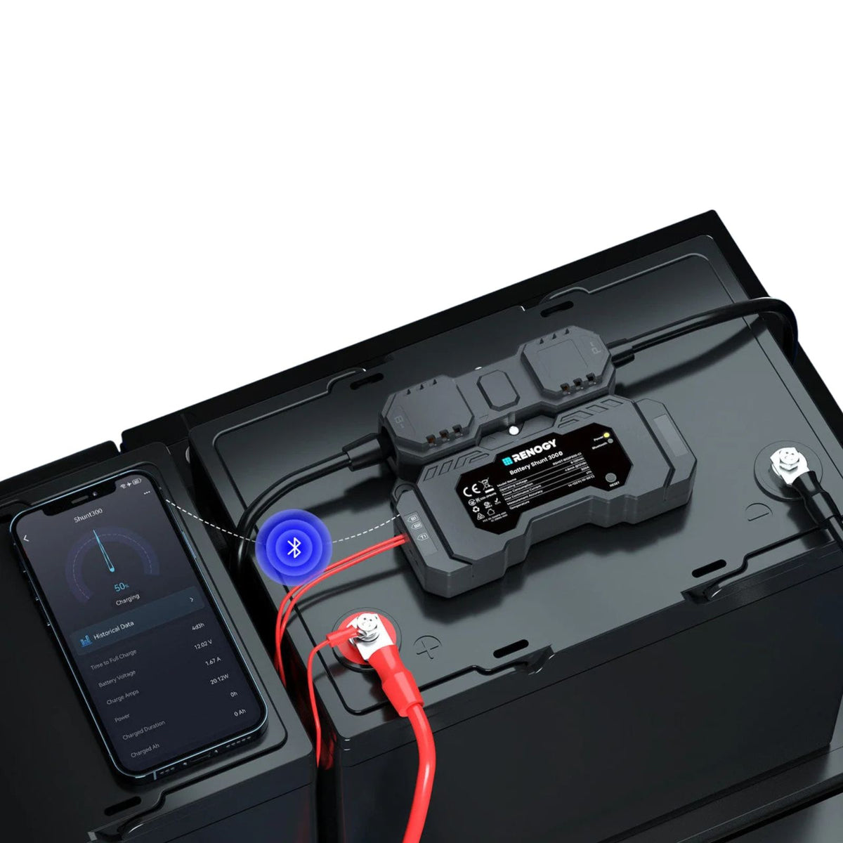 Renogy Battery Shunt 300 esempio di montaggio