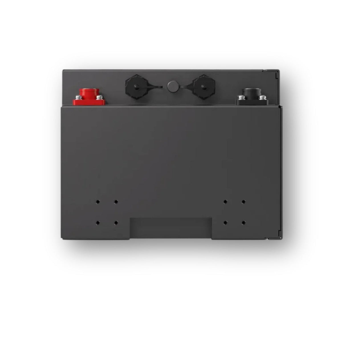 Renogy Pro S1 vista frontale