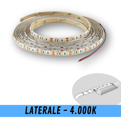 Striscia LED 12V (DC) 5m colore bianco caldo 3000K luce laterale