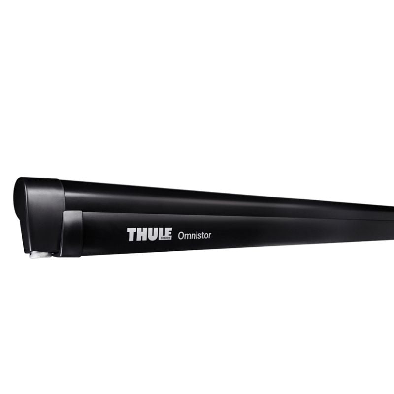 Thule Omnistor 5102 cassone antracite