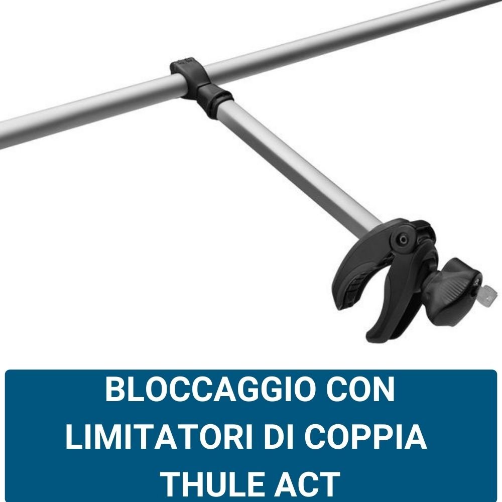 Thule Elite Van XT con Acu-Tight